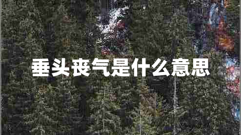 垂頭喪氣是什么意思