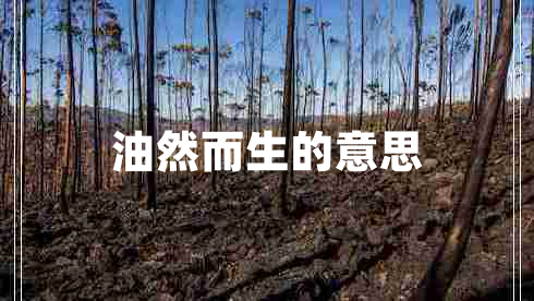 油然而生的意思 油然而生的意思