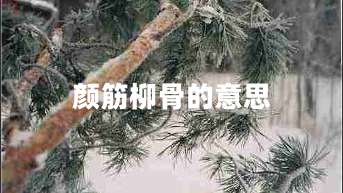 顏筋柳骨的意思