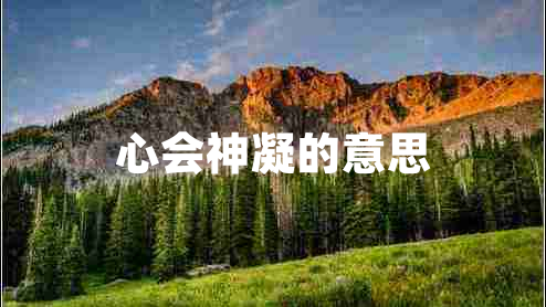 心會神凝的意思 心會神凝的意思