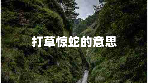 打草驚蛇的意思 打草驚蛇的意思