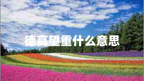 德高望重什么意思