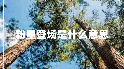 粉墨登場是什么意思