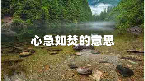 心急如焚的意思