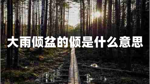 大雨傾盆的傾是什么意思