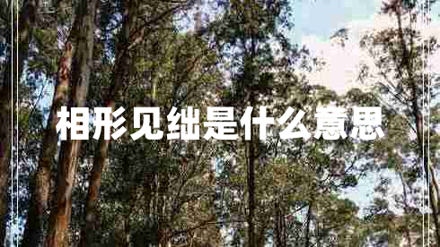 相形見絀是什么意思