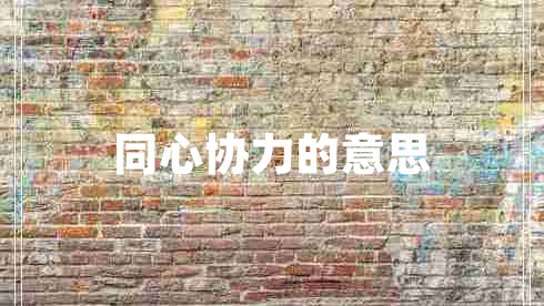 同心協(xié)力的意思