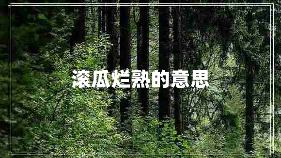 滾瓜爛熟的意思