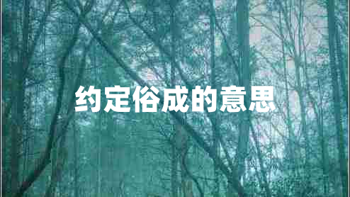 約定俗成的意思 約定俗成的意思