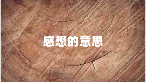 感想的意思 感想的意思
