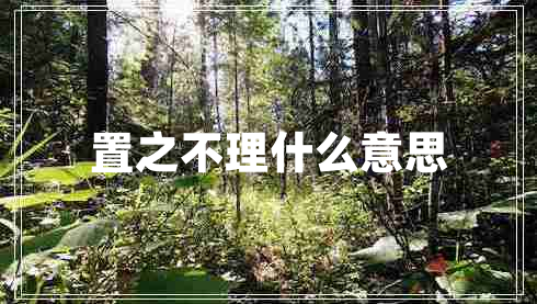 置之不理什么意思 置之不理什么意思