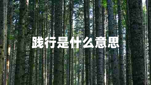 踐行是什么意思