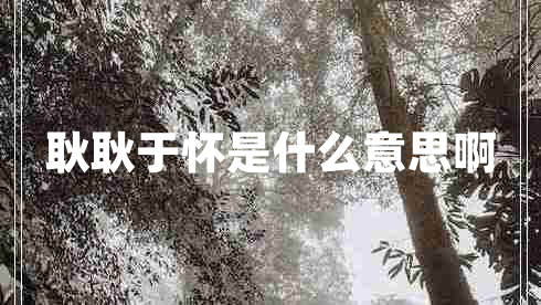 耿耿于懷是什么意思啊