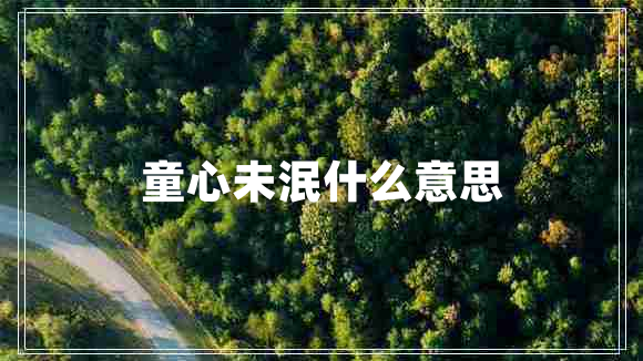 童心未泯什么意思