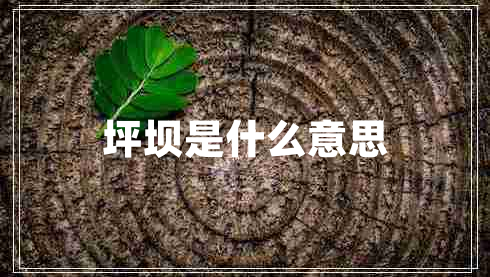 坪壩是什么意思