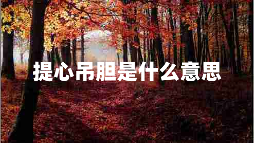 提心吊膽是什么意思