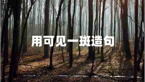 用可見一斑造句 用可見一斑造句