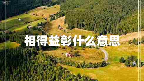 相得益彰什么意思