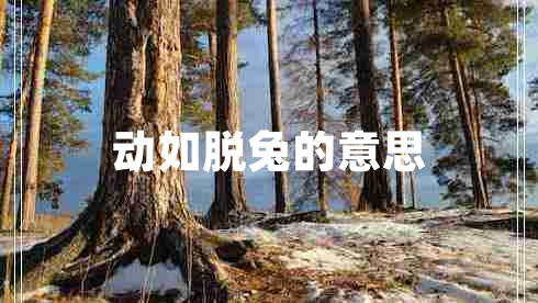 動如脫兔的意思