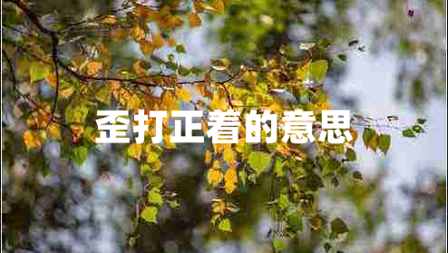 歪打正著的意思 歪打正著的意思