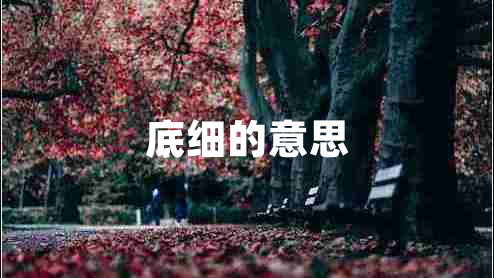 底細(xì)的意思