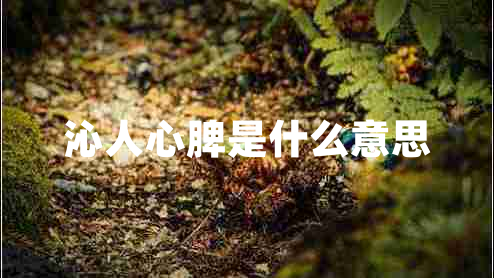 沁人心脾是什么意思
