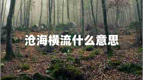 滄海橫流什么意思