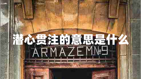 潛心貫注的意思是什么