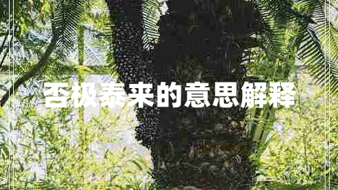 否極泰來的意思解釋