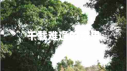 千載難逢的意思