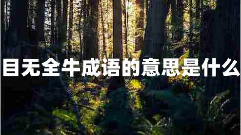 目無(wú)全牛成語(yǔ)的意思是什么