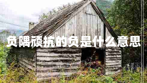 負(fù)隅頑抗的負(fù)是什么意思