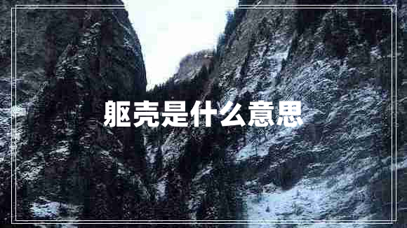 軀殼是什么意思