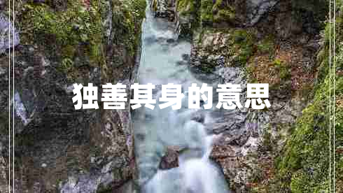 獨(dú)善其身的意思