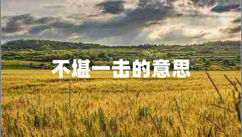 不堪一擊的意思