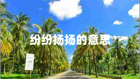 紛紛揚(yáng)揚(yáng)的意思