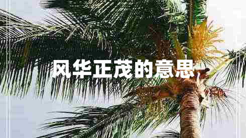 風(fēng)華正茂的意思