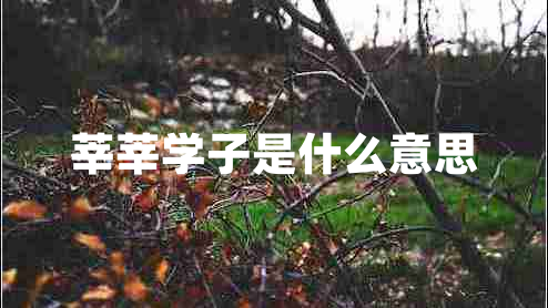 莘莘學子是什么意思