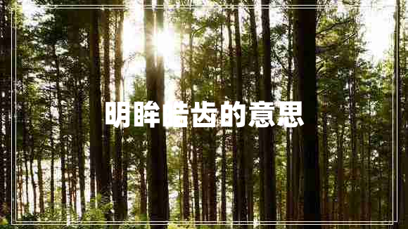 明眸皓齒的意思