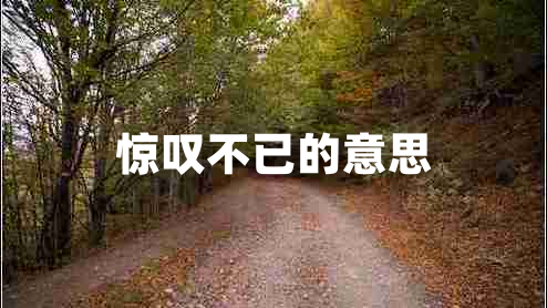 驚嘆不已的意思