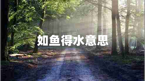 如魚得水意思