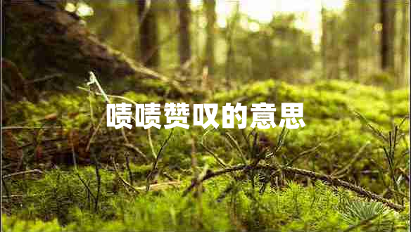 嘖嘖贊嘆的意思