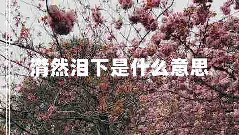 潸然淚下是什么意思