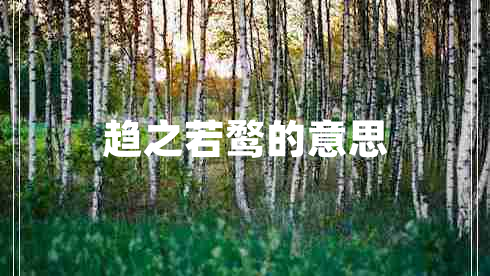 趨之若鶩的意思