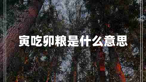 寅吃卯糧是什么意思