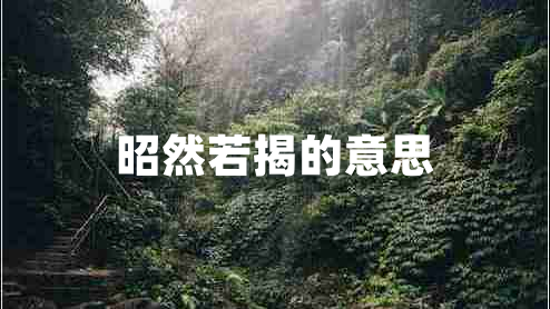 昭然若揭的意思