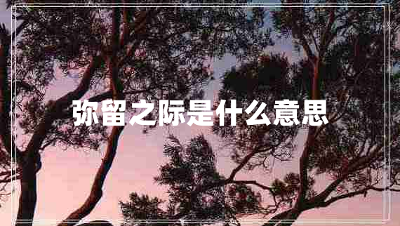 彌留之際是什么意思