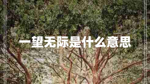 一望無際是什么意思 一望無際是什么意思