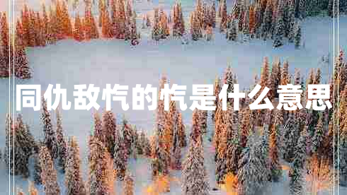 同仇敵愾的愾是什么意思