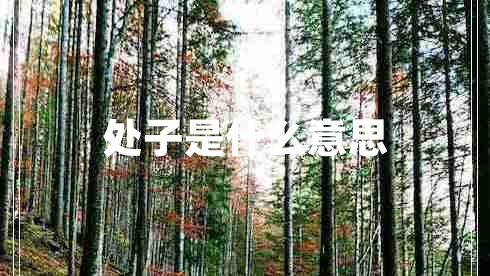 處子是什么意思